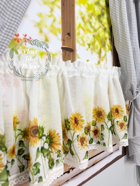 Zazdrostka malowany słonecznik 50 cm wysokości