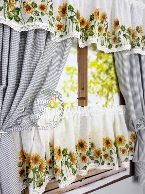 Zazdrostka malowany słonecznik 50 cm wysokości