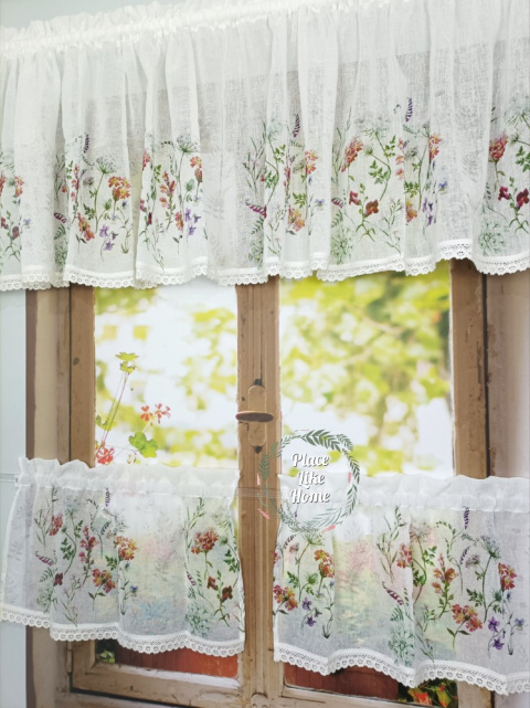 Zazdrostka polne kwiaty