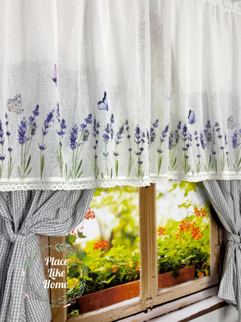 Zazdrostka Lawendowa łąka 90 cm wysokość