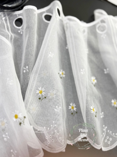 Zazdrostka Stokrotka 30 cm wysokości