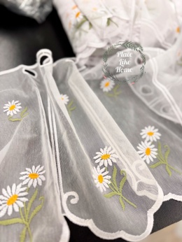 Zazdrostka Stokrotka 40 cm