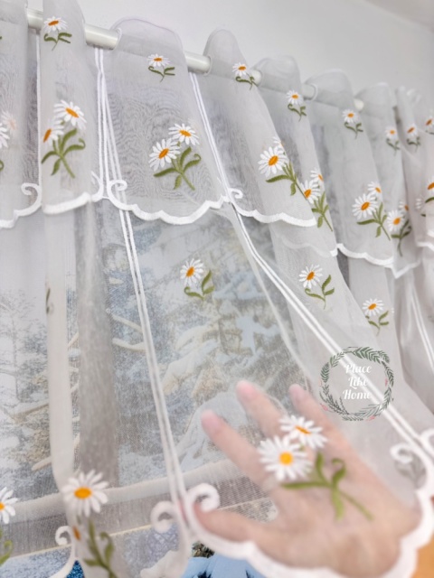 Zazdrostka Stokrotka 40 cm