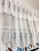 Zazdrostka Lawendowe zdżbło 90cm